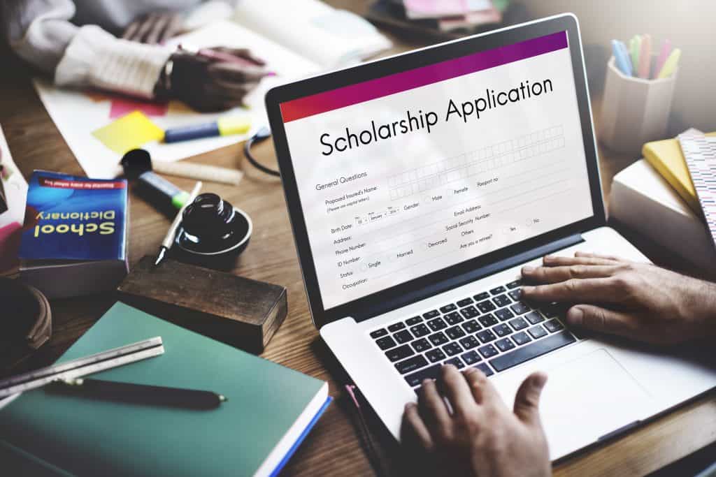 Scholarships for study in newzealand