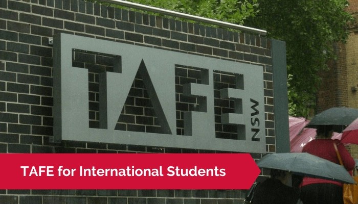 Tafe Courses